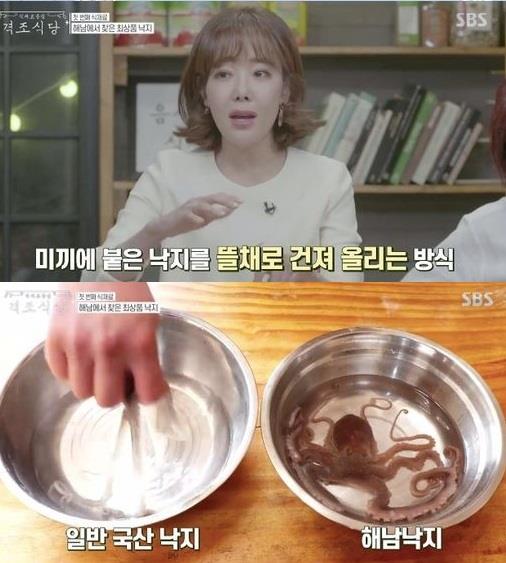 ‘격조식당’ 해남낙지가 소개됐다.SBS 방송 캡처