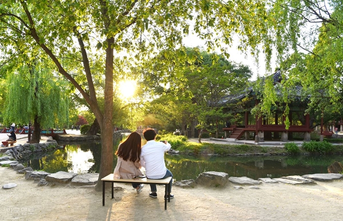 버드나무가 군락이 가지를 드리운 광한루원 삼신산 주변.