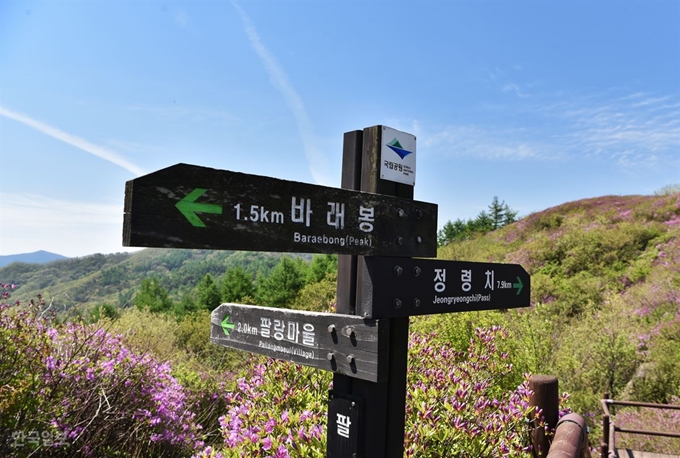 팔랑치 이정표. 가장 가까운 등산로는 산내면 팔랑마을에서 연결된다.