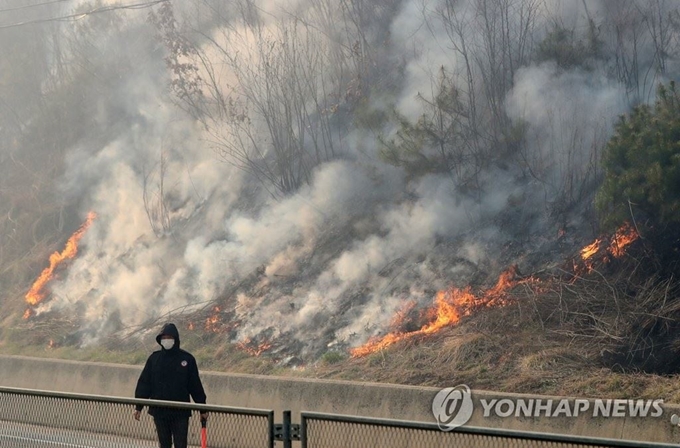 지난달 4일 강원도 인제군 남면에서 발생한 산불 모습. 연합뉴스.