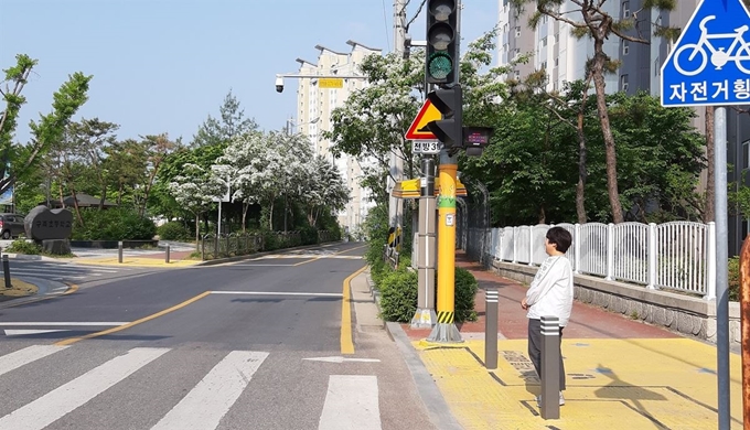 대전시는 보행자가 많은 교차로와 초등학교 주변 6곳에 보행신호 음성안내 장치를 설치, 시범운영한다고 21일 밝혔다. 대전시 제공.