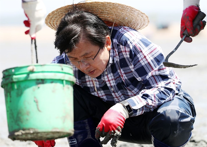 자유한국당 황교안 대표가 21일 오전 인천시 중구 무의동 한 갯벌을 방문해 어민들의 일손을 돕고자 바지락을 채취하고 있다. 연합뉴스