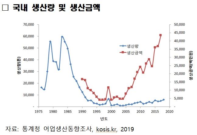 연도별 갑오징어 생산량