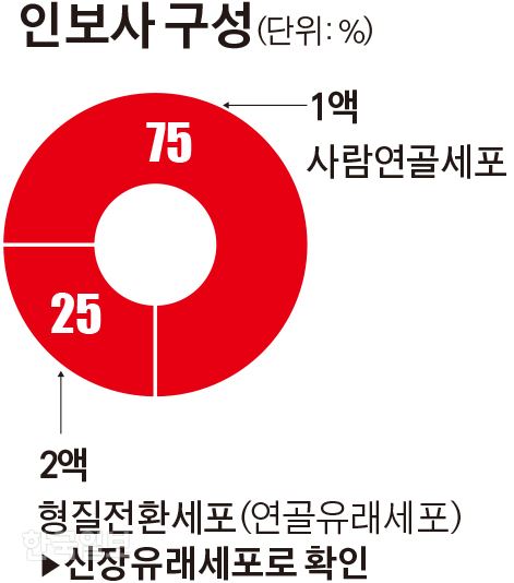 인보사 구성. 그래픽=김경진 기자