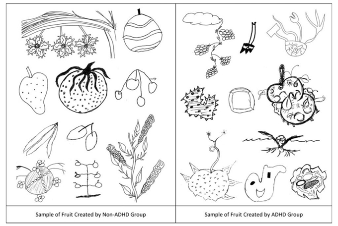 지구 밖에 있을 거라 생각되는 외계 과일을 그려보라고 한 미국 미시간주립대의 연구결과, 주의력결핍 과잉행동장애(ADHD) 진단을 받은 이들이 그린 외계 과일(오른쪽)이 일반인들이 상상한 것(왼쪽)보다 더 창의적인 것으로 나타났다. 미시간주립대 제공