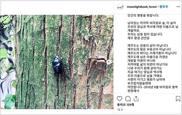 최근 비자림로 공사 구간에서 멸종위기종 ‘애기뿔쇠똥구리’가 발견됐다. moonlightbook_forest 인스타그램 캡처