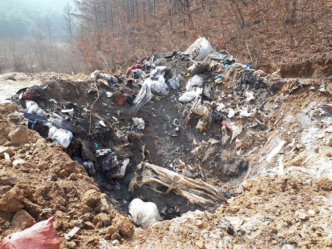 경북 안동시가 3일 도산면 온혜리 한 전답에 불법 매립된 폐기물 수천 톤을 발견, 확인하고 있다. 안동시 제공