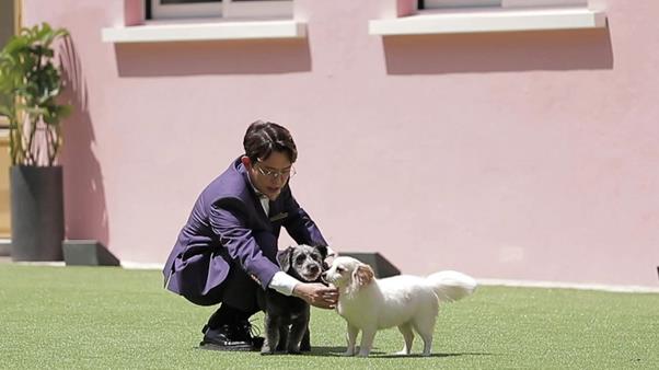 토니안이 ‘개아빠’다운 면모를 뽐냈다. JTBC2 제공