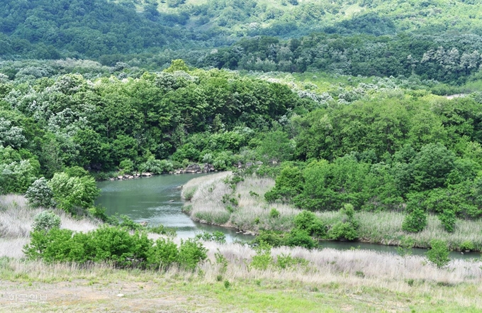 공작새능선 조망대에서 보는 역곡천. W자 지형으로 남북 군사분계선을 넘나드는 강줄기다.