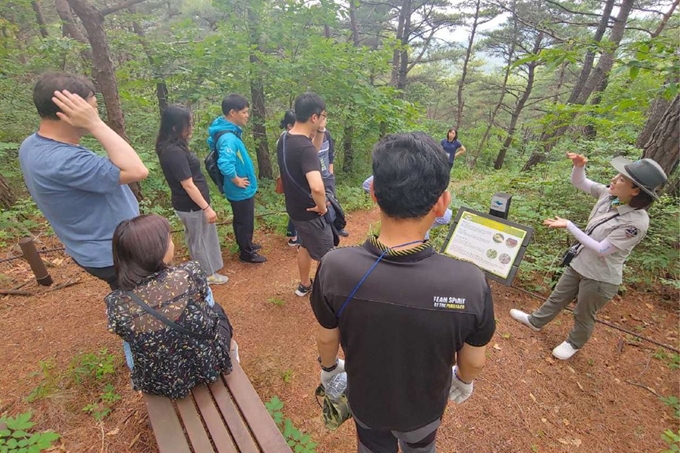 경주국립공원 환경성 질환 치유캠프. 경주국립공원사무소 제공