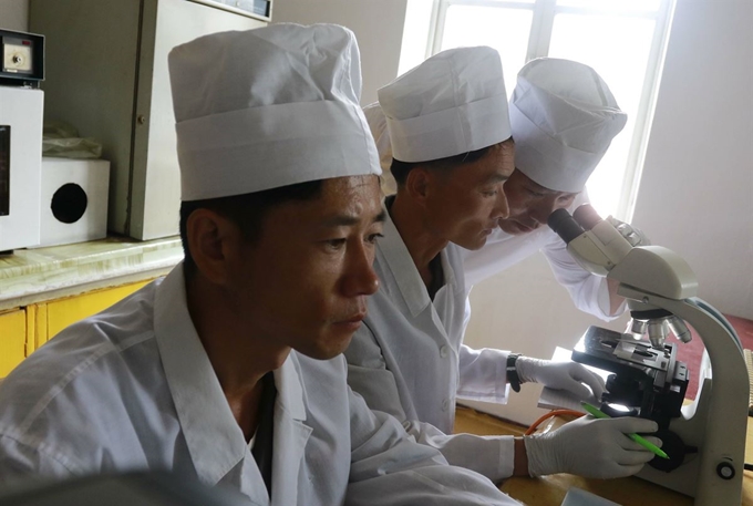 10일 북한 평양 룡성구역에 있는 농업연구원 산하 수의학연구소 연구원들이 아프리카돼지열병(ASF) 관련 검사를 하고 있다. 북한은 지난달 30일 자강 우시군의 북상 협동농장에서 ASF가 발병했다고 세계동물보건기구(OIE)에 신고했다. 평양=AP 연합뉴스