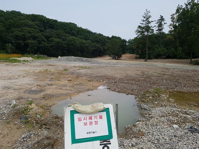 울산 남부 부곡동 차단녹지 일대의 울창한 숲. 도로 쪽은 벌써 임시폐기물 보관장으로 파헤쳐져 있다.