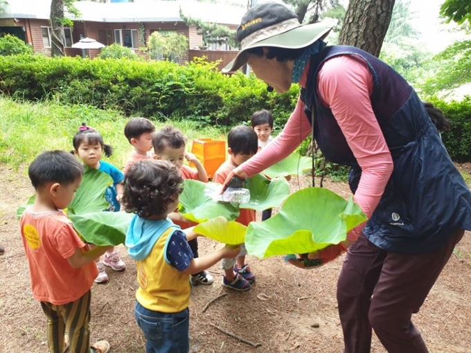 지난 18일 부산 동래구 금강공원 생태문화 해설프로그램에 참여한 어린이들이 연잎으로 물을 전달하는 체험을 하고 있다.