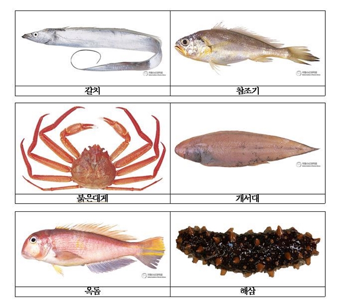 7월 1일부터 한달부터 최고 두달까지 금어기가 시행되는 수산자원들. 해양수산부 제공.