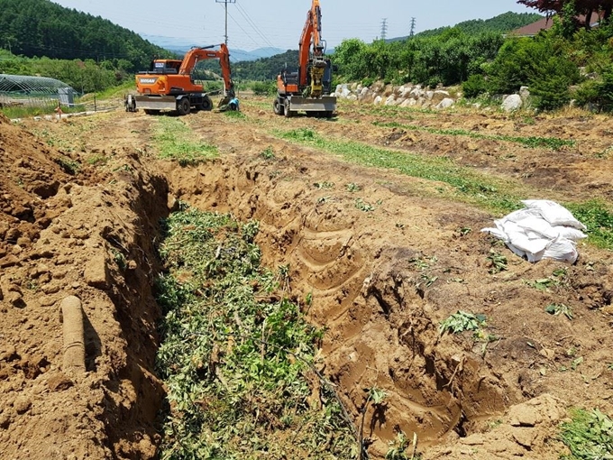 과수화상병이 발생한 한 과수원에서 과수 매몰작업이 한창이다. 이 병은 아직까지 치료제가 없어 발병하면 매몰 처분하는 것이 최선의 방법이다. 충북농업기술원 제공