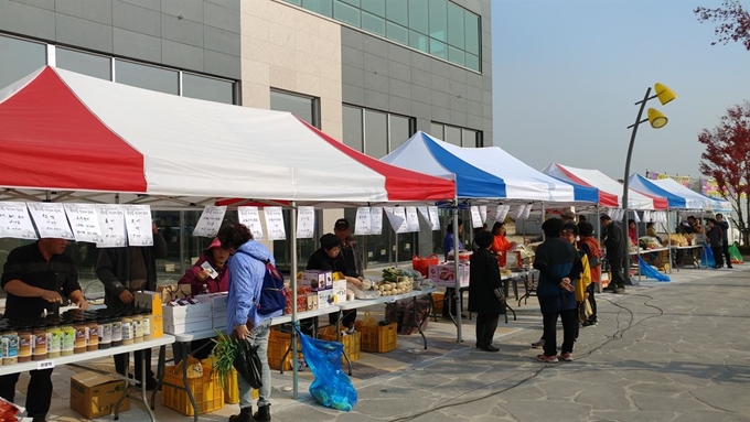 경북도가 6,7일 대구 삼성창조캠퍼스에서 농산물직거래장터를 연다. 사진은 농협 앞 직거래장터 모습. 경북도 제공