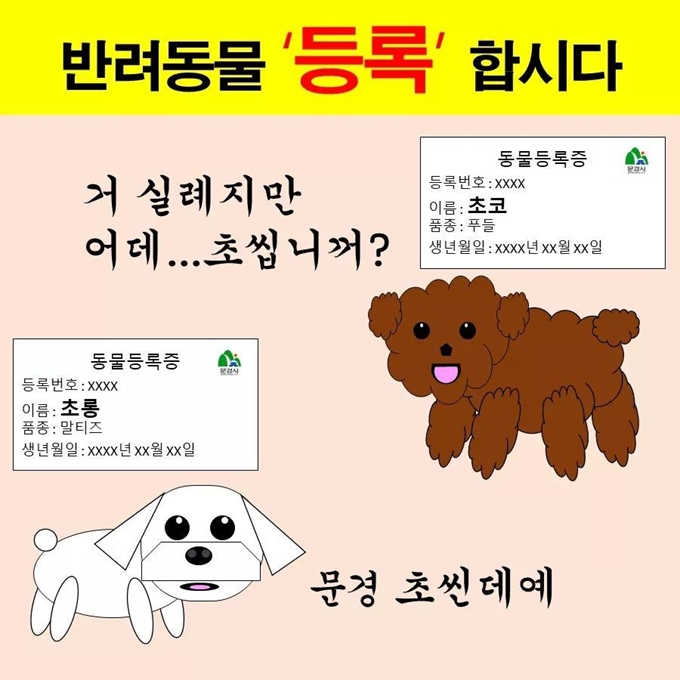 문경시는 사회관계망서비스를 통해 재치 있는 동물등록 홍보를 진행 중이다. 문경시 제공