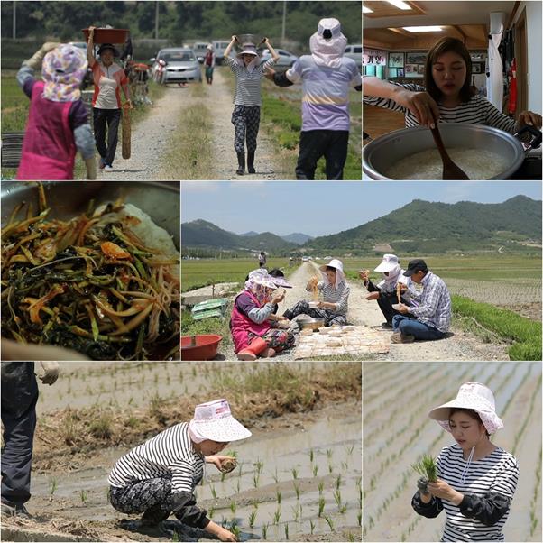 ‘아내의 맛’ 송가인이 모내기 퀸에 등극했다. TV CHOSUN 제공