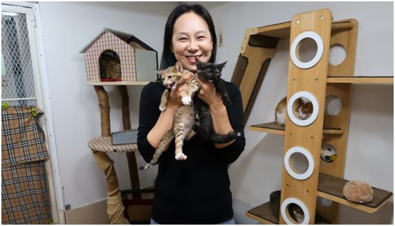 길고양이 보호단체 ‘나비야사랑해’의 유주연 대표가 11일 서울 용산구 나비야사랑해 제1보호소에서 고양이들과 함께 있다.