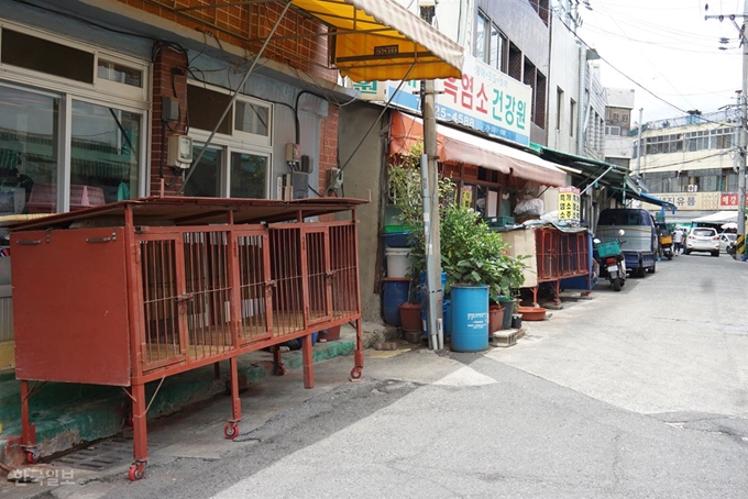 대구 북구 칠성동 칠성 개시장 건강원 우리에 개들이 자취를 감췄다.