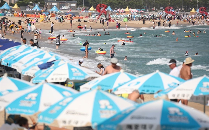 12일 부산 해운대해수욕장을 찾은 관광객들이 물놀이를 즐기고 있다. 뉴스1