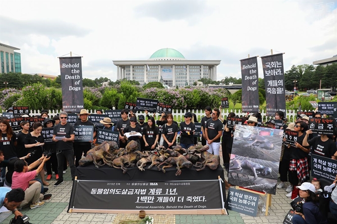 12일 오전 서울 여의도 국회의사당 앞에서 동물보호단체들이 복날을 맞아 보신 문화에 희생된 개들을 추모하기 위해 ‘2019 복날추모행동’을 주최했다. 동물해방물결 제공