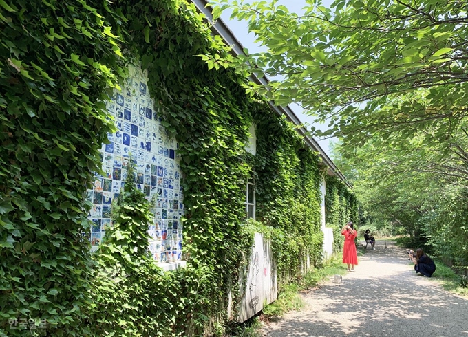 담쟁이 사이사이 빈 공간도 작품으로 채웠다.