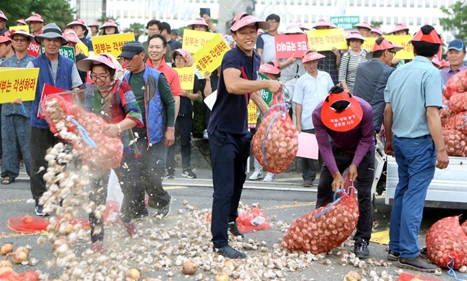 한국농업경영인 합천창녕연합회가 16일 오후 경남도청 앞에서 마늘·양파 가격 폭락에 대한 정부 대책을 촉구하는 집회를 한 뒤 마늘을 집어던지는 퍼포먼스를 하고 있다. 연합뉴스