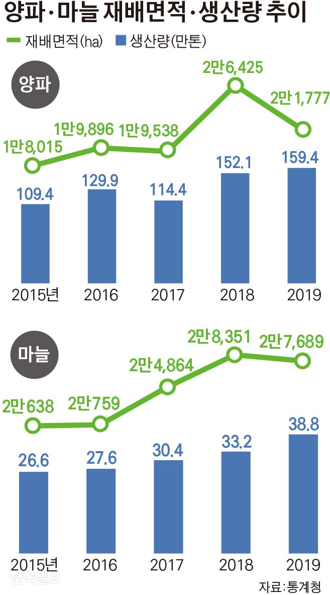 양파ㆍ마늘 재배면적ㆍ생산량 추이/김경진기자