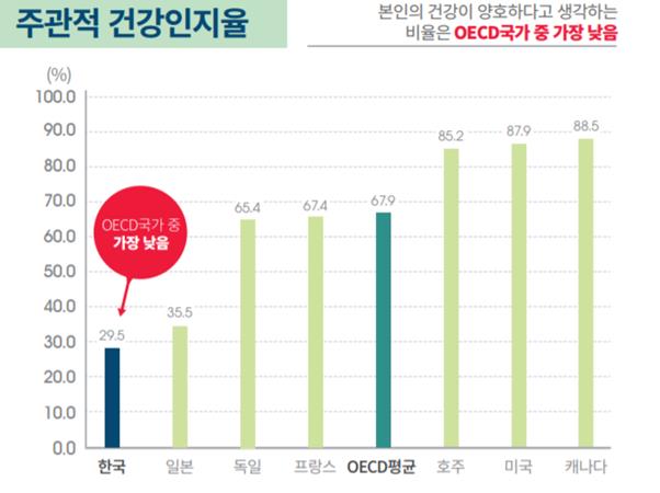 ‘본인의 건강이 양호하다’고 생각하는 사람의 비율. 자료 보건복지부