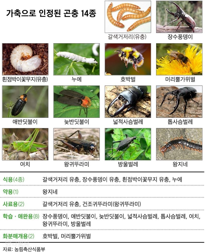 [저작권 한국일보]그래픽=신동준 기자