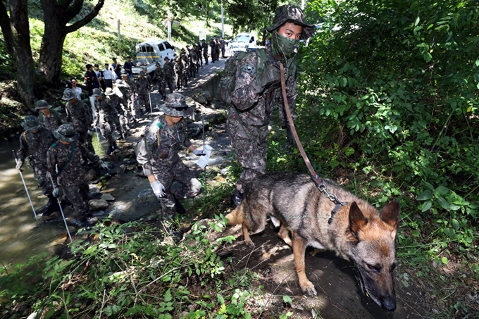 산악수색 작전에 특화된 특공대와 기동대 장병들이 30일 오후 충북 청주시 상당구의 한 야산에서 실종된 조은누리양(14) 수색작업에 투입되고 있다. 청주=뉴스1