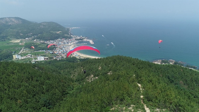 패러글라이딩 선수들이 경북 포항시 북구 흥해읍 칠포리 곤륜산 일대를 활공하고 있다. 포항시 제공