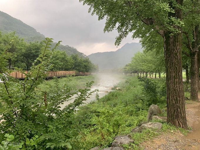 비온 뒤 경북 문경새재를 흐르는 하천에 물안개가 살포시 내려 앉아 있다. 김재현기자 k-jeahyun@hankookilbo.com