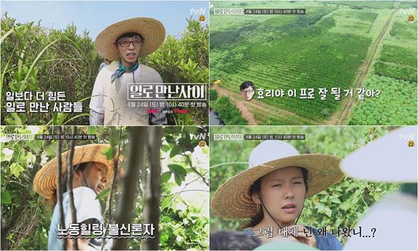 ‘일로 만난 사이’ 유재석-이효리의 남매케미가 기대감을 모으고 있다. tvN 제공