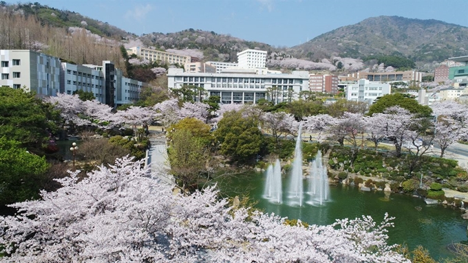 경남대는 각종 정부지원사업과 평가에서 뛰어난 성과를 거두며 창의 융합형 인재 육성과 교육혁신에 박차를 가하며 지역 최고 명문 사학으로의 도약을 꾀하고 있다. 사진은 벚꽃이 만개한 경남대 봄 캠퍼스 전경. 경남대 제공