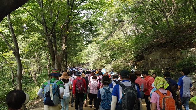 17일 문경맨발걷기대회 참가자들이 시원한 계곡물소리를 들으며 2관문을 향해 걸어가고 있다.