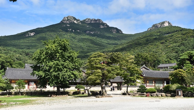 대흥사 뒤로 바위 봉우리가 우람한 두륜산 능선이 감싸고 있다.