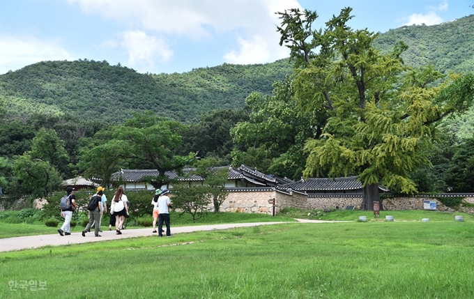 해남 덕음산 자락의 녹우당. 입구에 커다란 은행나무 한 그루가 지키고 있다.