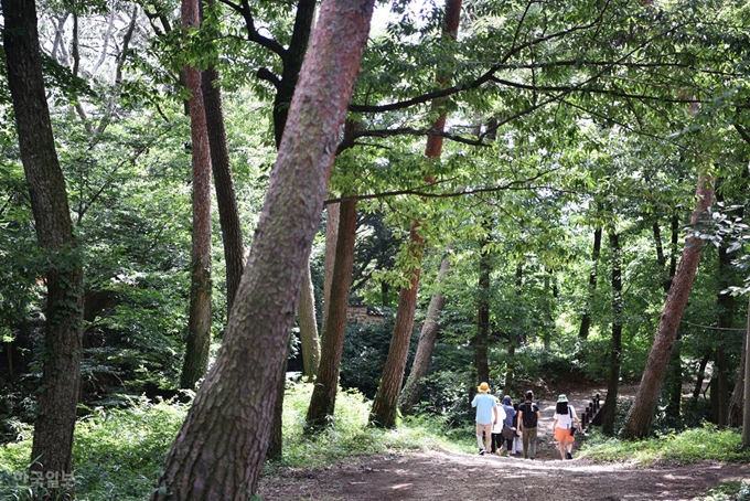 녹우당 주변은 숲과 계곡이 어우러진 원림이다.