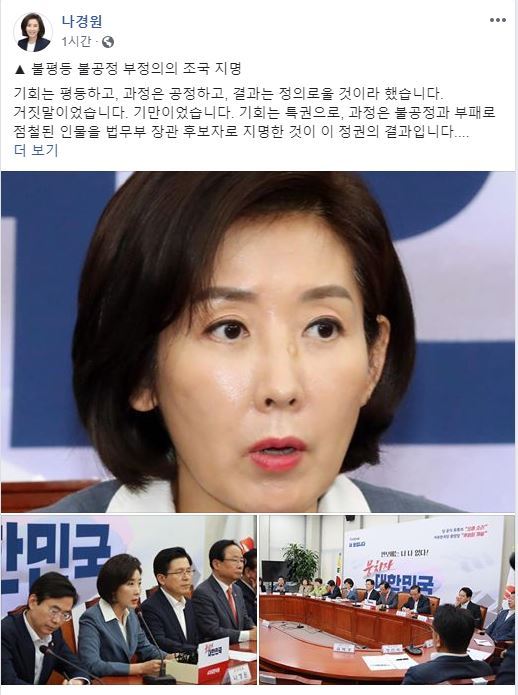 나경원 자유한국당 원내대표 페이스북 캡처