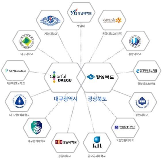 대구경북지역대학공동기술지주 참여대학 현황.