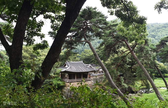 예천 용문면 초간정. 도로 바로 옆이지만 작은 협곡에 숲으로 둘러싸여 있어 세상과 단절된 듯 고요하다. 예천=최흥수 기자