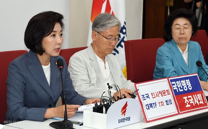 나경원 자유한국당 원내대표가 27일 오전 서울 여의도 국회에서 열린 조국 인사청문회 대책TF 7차회의에 모두 발언을 하고 있다. 홍인기 기자