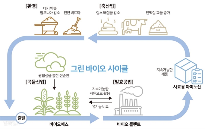 그린바이오 사이클. 그래픽=송정근 기자