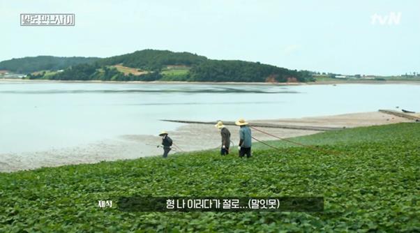 차승원과 유재석이 tvN ‘일로 만난 사이’에서 노동 케미를 뽐냈다. tvN 방송 캡처