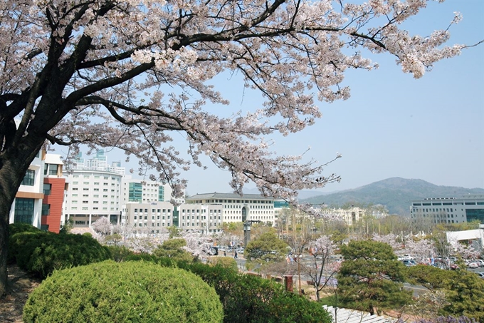 창원국가산단 중심에 위치한 창원문성대는 산ㆍ학 특성화 대학에 초점을 두고 산업현장과 산업인력 수요 등에 선제적으로 대응하는 체계적이고 특화한 ‘미래 주도형 전문기술인재’ 양성의 요람으로 거듭나고 있다. 창원문성대 봄 캠퍼스 전경. 창원문성대 제공