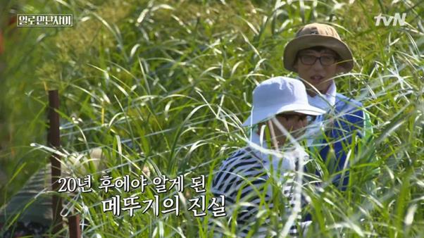 정재형이 tvN ‘일로 만난 사이’에 출연했다. 방송 캡처