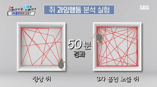 SBS ‘신동엽 VS 김상중’에서 3차 흡연의 위험성이 제기됐다. 방송 캡처