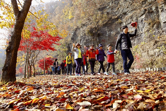 경북 영양군 외씨버선길. 경북도 제공